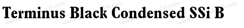 Terminus Black Condensed SSi Black字体转换